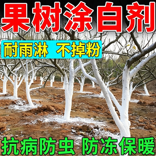 树干涂白剂果树涂白防虫防冻刷白大树防寒抗霜冻直涂防日灼防啃咬