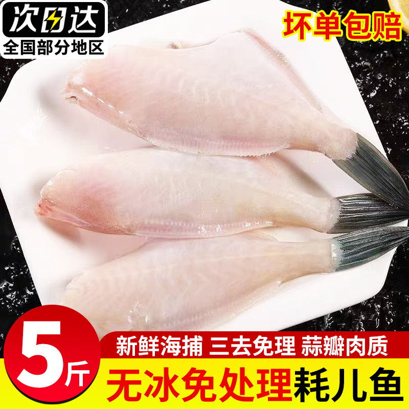 鲜活耗儿鱼扒皮鱼大号冷冻马面鱼中小号新鲜剥皮鱼火锅食材商用