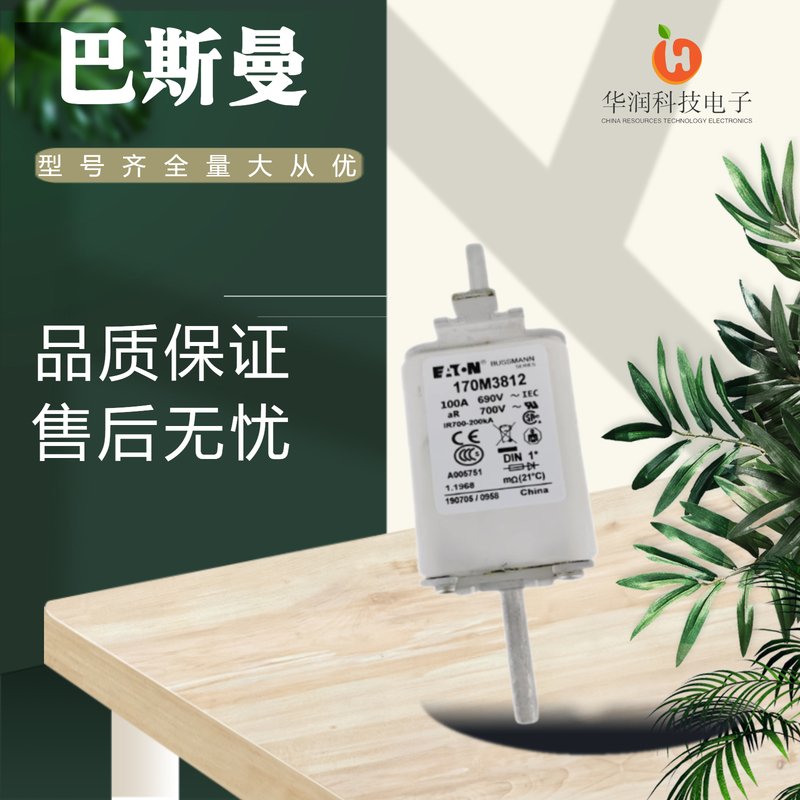 巴斯曼熔断器熔断器170M4140