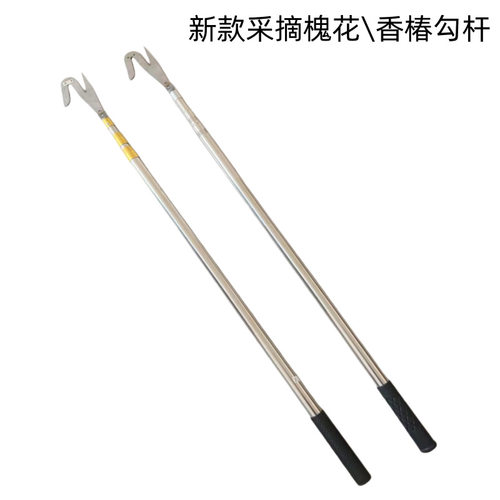 新款采摘槐花香椿榆钱龙眼荔枝