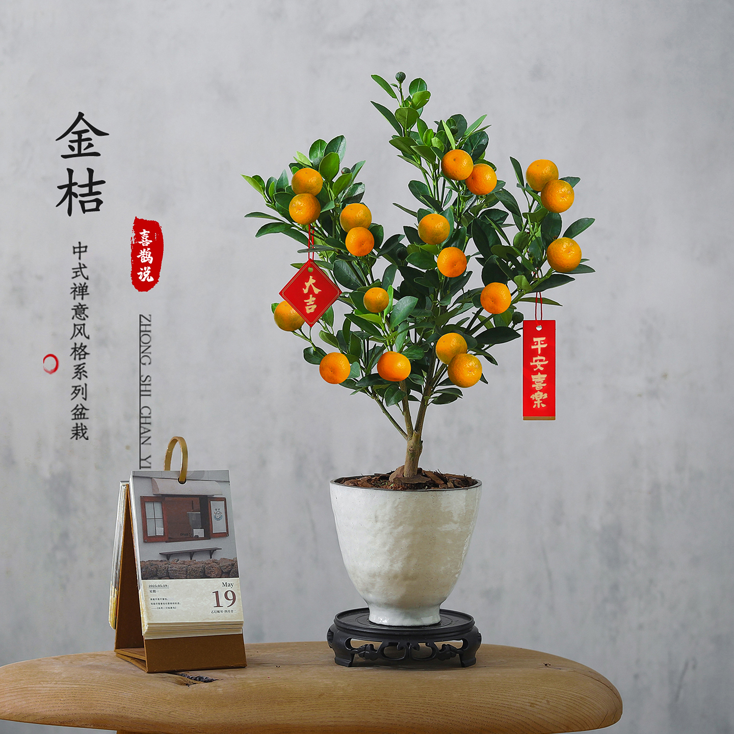 金桔盆栽金豆室内绿植物净化空气