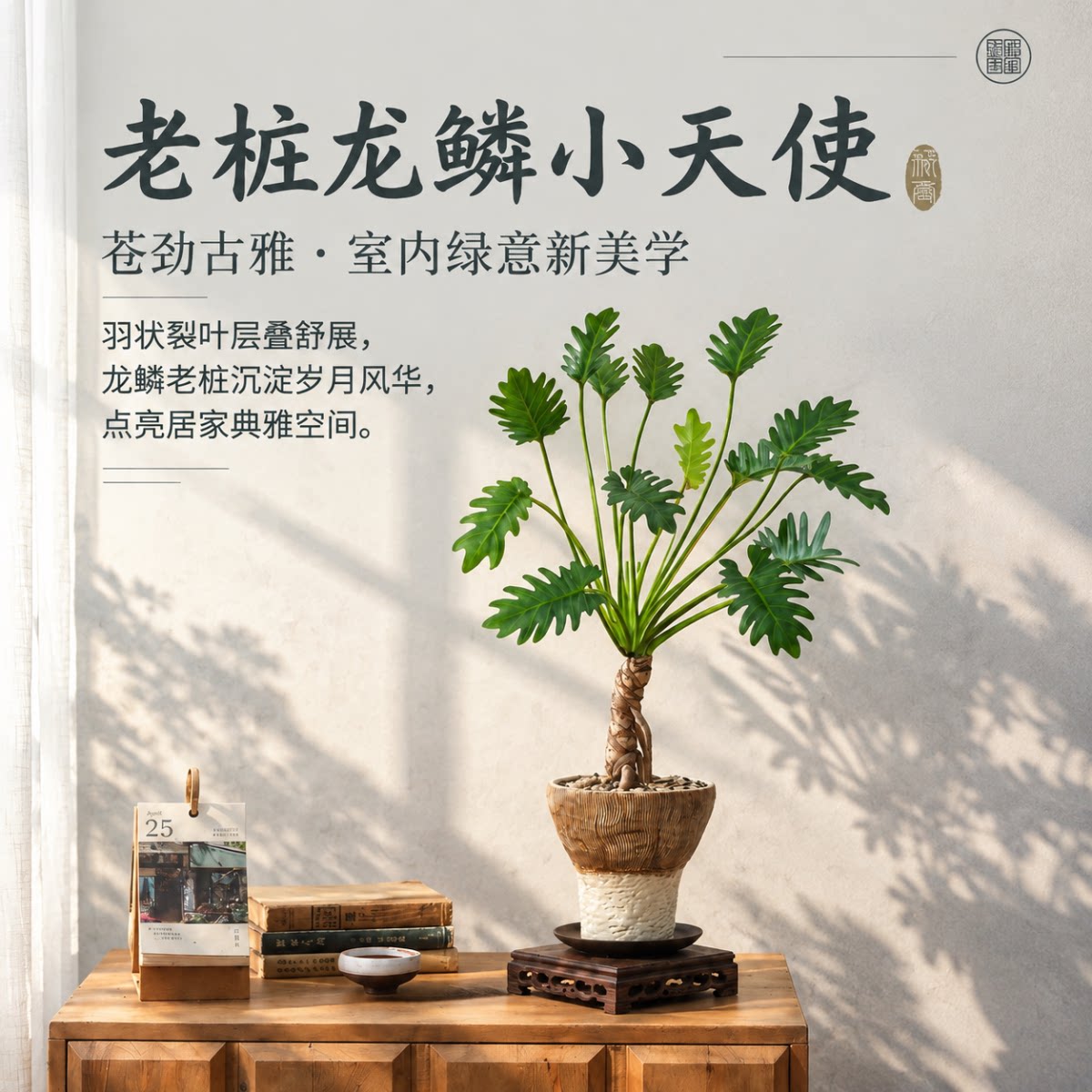 老桩龙鳞春羽小天使盆栽办公室内桌面绿植物中古侘寂风小盆景好养