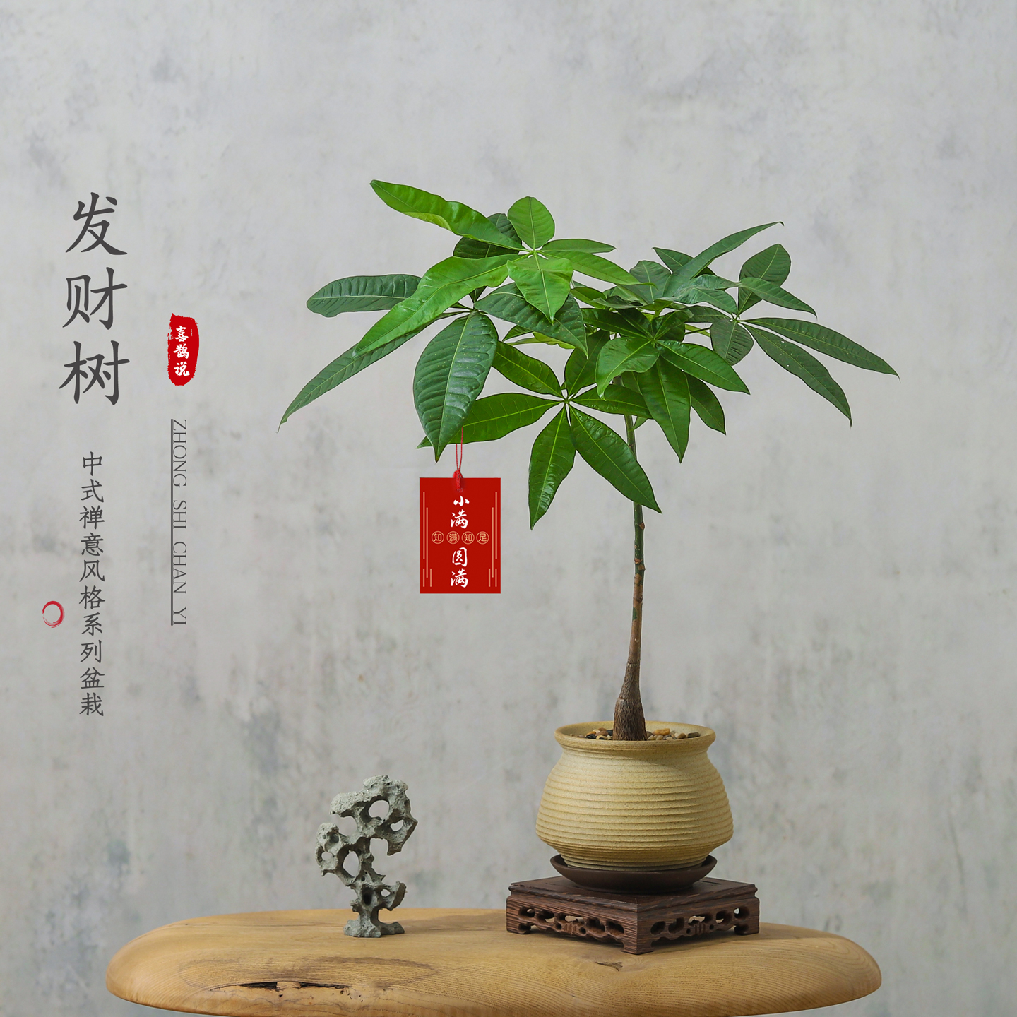 发财树盆栽办公室绿植四季好养