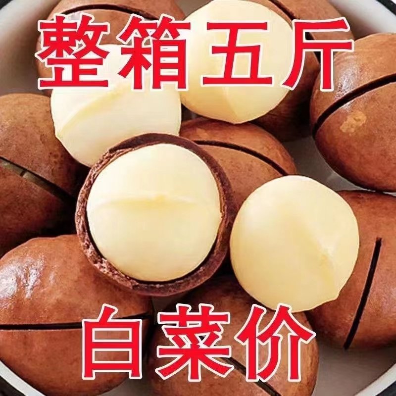 夏威夷果坚果整箱5斤原味干果新货特大颗粒休闲零食散装批发含罐