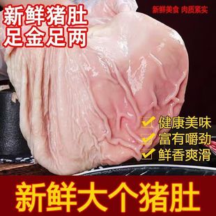 【批发价】新鲜猪肚农家散养猪肚子整只猪肚无油干净冷冻猪肚猪胃