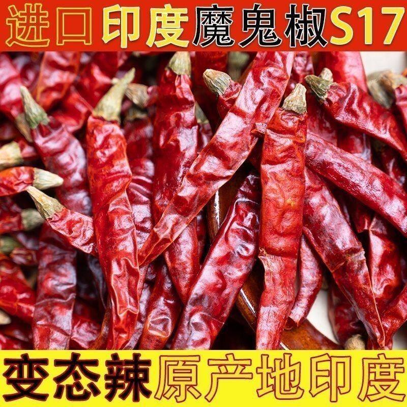 正宗印度魔鬼辣椒干辣椒特辣红辣椒段变态辣超辣干货香辣批发
