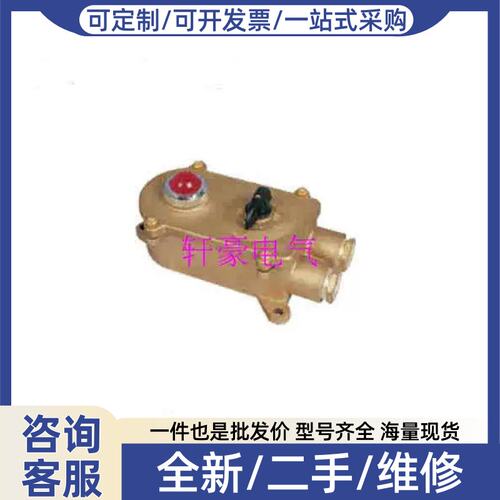 议价议价厂家直销 HSD2-2 船用铜质带指示灯开关