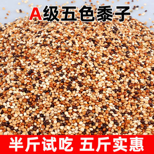 鹦鹉鸟粮饲料五色黍子虎皮玄凤牡丹中小型鹦鹉鸟食混合粮谷子新货