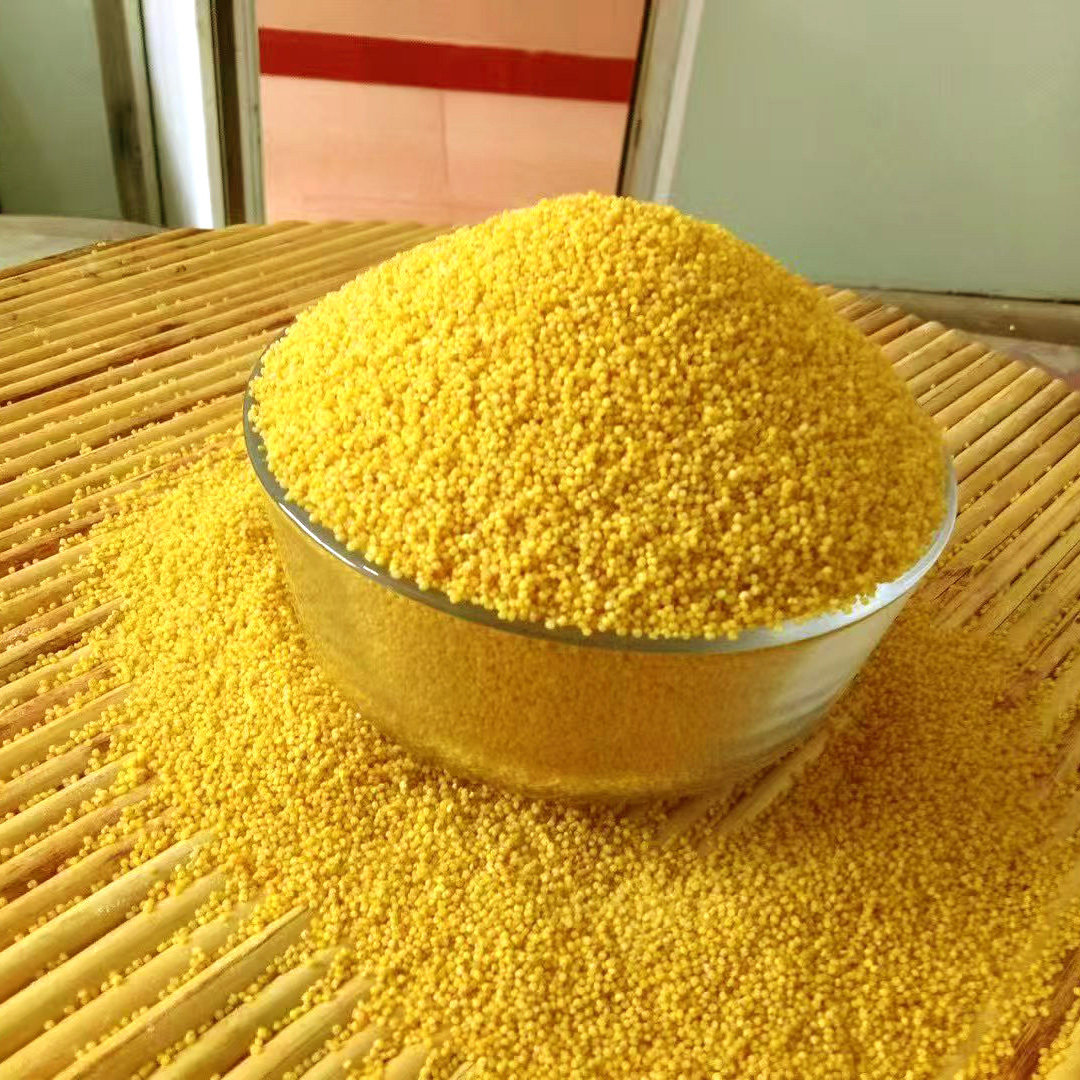 25年沂蒙山小米春谷子红皮谷子小米