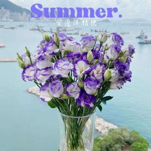 云南昆明基地直发洋桔梗龙胆花真花鲜切花花束鲜花混搭批发年宵花