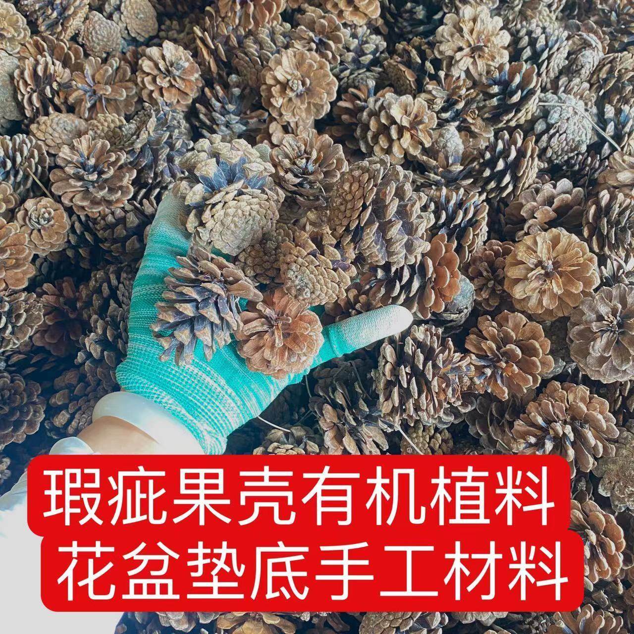 天然瑕疵松果松塔花盆垫底透气有机植料土壤野外篝火材料diy手工,鲜花速递/花卉仿真/绿植园艺,家庭园艺肥料,淘宝优惠券,粉丝福利购,淘宝优惠卷