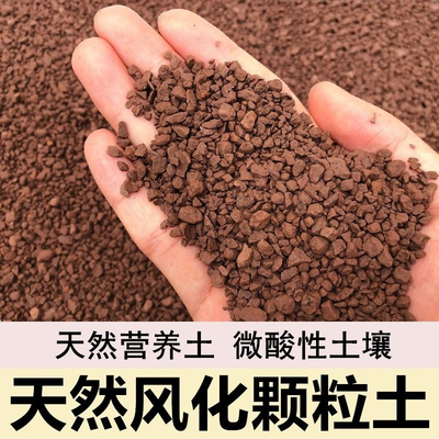 小叶簕竹土勒竹专用土风化土种竹子土红土酸性盆景土种植土营养土