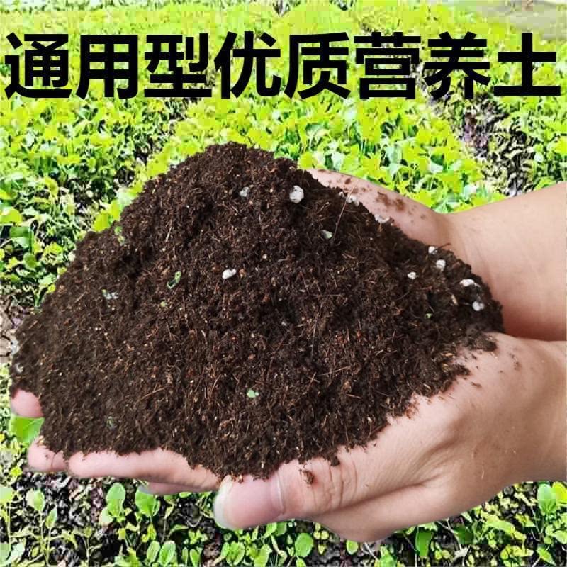 松叶土兰花松针腐殖土天然腐叶土君子兰多肉营养土养花通用专用土