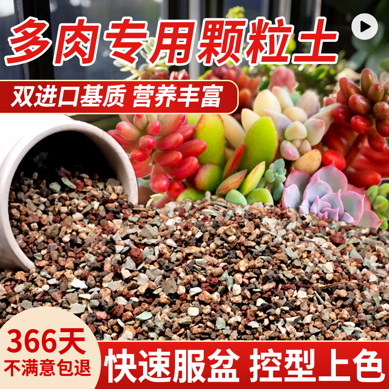 多肉营养土颗粒专用土壤种植多肉土养花通用型泥炭植物花土铺面石