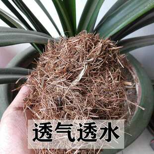 腐叶土腐熟天然松针腐殖土橡树叶腐熟有机营养土盆栽种菜养花通用