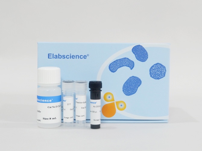 Elabscience® Caspase 3活性检测试剂盒(分光光度法)  E-CK-A311