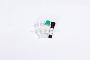 BIOGᴴˢᒼ防污染UDG探针法荧光定量PCR试剂盒检测复杂样本靶基因
