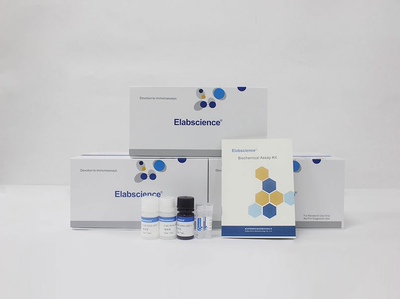 Elabscience® 乳酸脱氢酶(LDH)比色法测试盒 ，E-BC-K046-M，96T