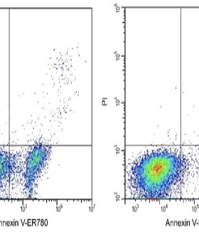 Elabscience®Annexin V-ER780/PI细胞凋亡检测试剂盒，E-CK-A239