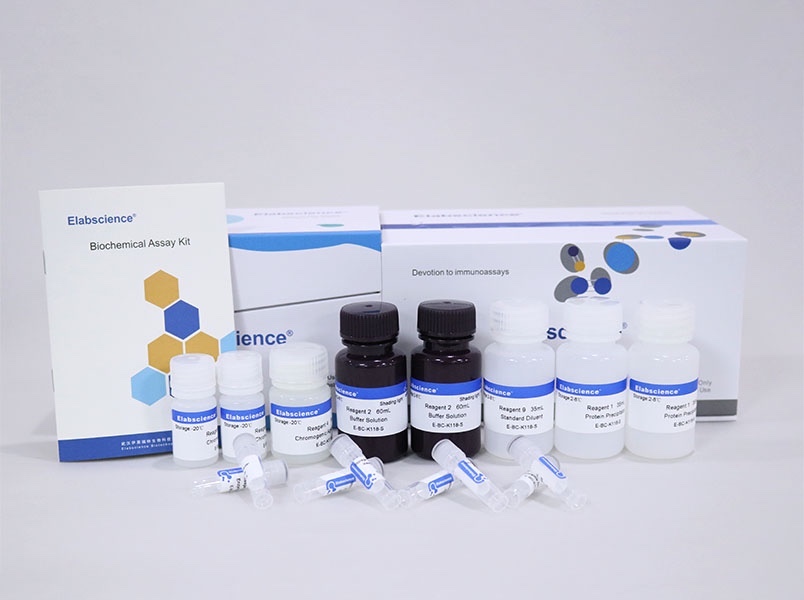 Elabscience® 谷氨酸比色法测试盒 E-BC-K118-S 血浆 组织 细胞