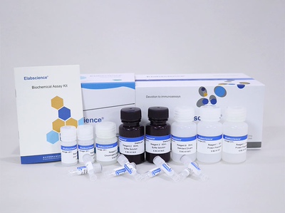 Elabscience® 谷氨酸比色法测试盒 E-BC-K118-S 血浆 组织 细胞