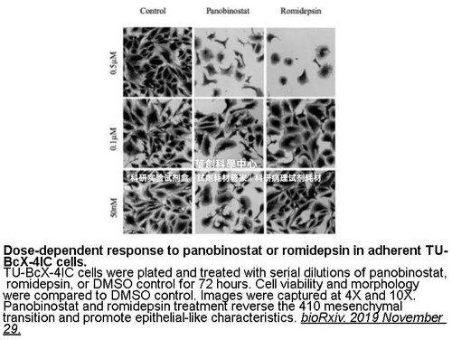 APExBIO罗米地辛Romidepsin(FK228)有效/选择性HDAC1/HDAC2抑制剂