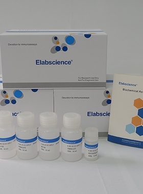 Elabscience®过氧化氢(H2O2)比色法测试盒E-BC-K102-S 100assays
