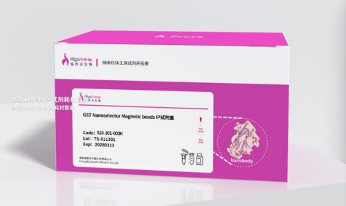 GST Nanoselector®Magnetic beads IP试剂盒,用于IP或Co-IP实验