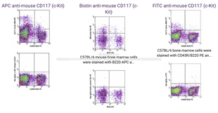 NIR™685抗小鼠CD117 kit 抗体 105856 BioLegend 105855 Spark