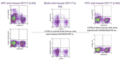 BioLegend Spark NIR™685抗小鼠CD117(c-kit)抗体,105855/105856