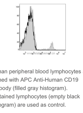 Elabscience®热销流式抗体 人属B细胞 APC 抗人 CD19抗体 [CB19]