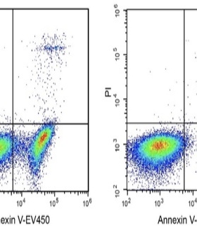 Elabscience®Annexin V-EV450/PI细胞凋亡检测试剂盒，E-CK-A233