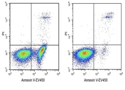 Elabscience®Annexin V-EV450/PI细胞凋亡检测试剂盒，E-CK-A233