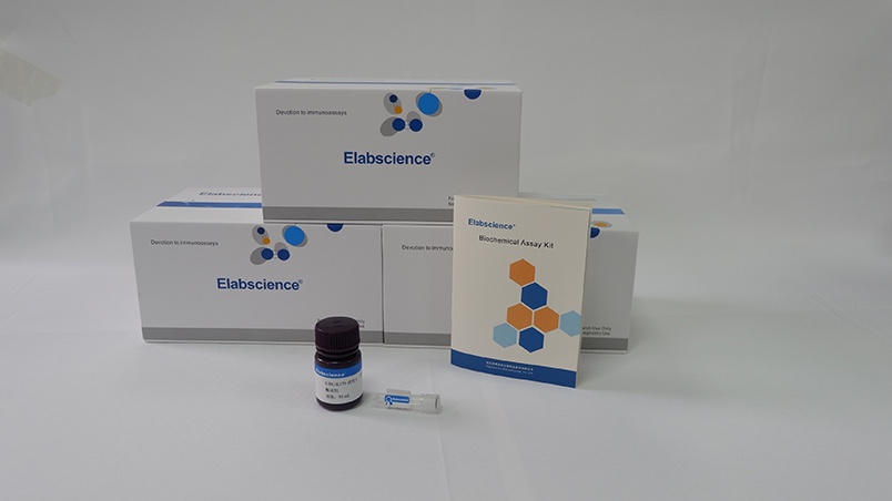 Elabscience总胆固醇TC比色法测试盒 单试剂COD-PAP法E-BC-K109-M
