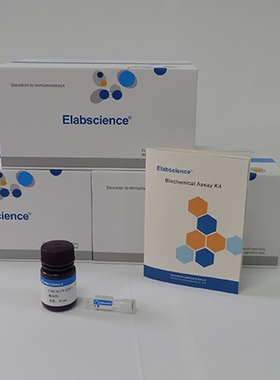 Elabscience总胆固醇TC比色法测试盒 单试剂COD-PAP法E-BC-K109-M