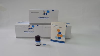 Elabscience总胆固醇TC比色法测试盒 单试剂COD-PAP法E-BC-K109-M