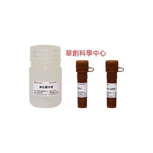 细胞周期与凋亡检测试剂盒 经典碘化丙啶染色法细胞周期/凋亡分析