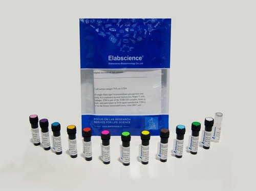 Elabscience®Annexin V-Biotin染色液，E-CK-A110，适用荧光标记
