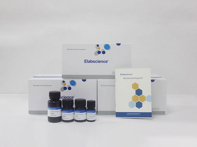 Elabscience® 脂质过氧化物(LPO)比色法测试盒 E-BC-K176-M，96T