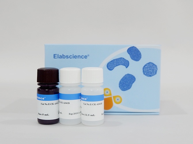 elabscience 噻唑蓝 MTT细胞增殖及细胞毒性检测试剂盒E-CK-A341