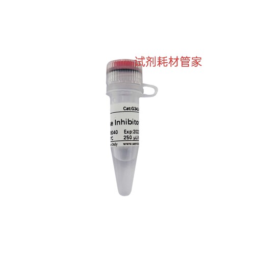 RNA酶抑制剂(猪源)RNase Inhibitor用于cDNA合成/RNA转录蛋白合成