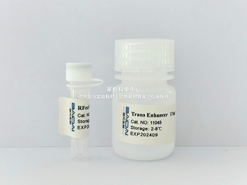 RFectSP V3 siRNA悬浮细胞转染试剂 适用小分子RNA可转染悬浮细胞