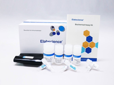 Elabscience®乳酸脱氢酶(LDH)细胞毒性比色法测试盒 E-BC-K771-M