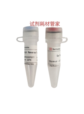 SweScript逆转录酶I,SweScript Reverse Transcriptase I合成cDNA