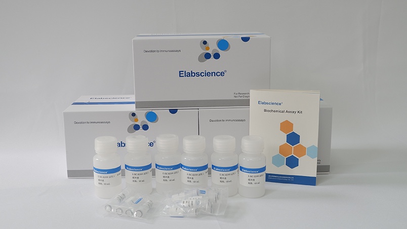 Elabscience® 谷胱甘肽还原酶(GR)比色法测试盒 E-BC-K099-S