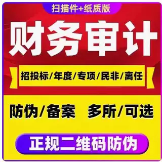 审计咨询公司投标年度报告财务报表模板专项验资审计资产评估咨询