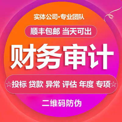 审计咨询公司投标年度报告财务报表模板专项验资审计资产评估咨询