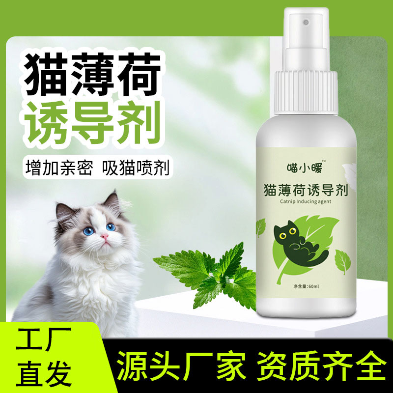喵小暖猫薄荷诱导剂天然植物