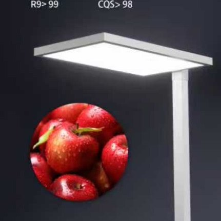 姿视佳大路灯护眼灯学习台灯全光谱儿童防近视书桌面写字小路灯,隐形眼镜/护理液,硬镜护理液,淘宝优惠券,粉丝福利购,淘宝优惠卷