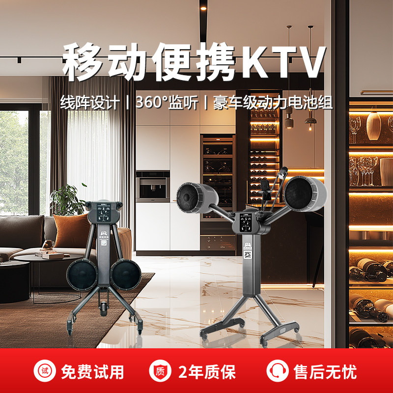 LR铃锐2101-D8移动户外音响便携式k歌功放一体机蓝牙音箱家庭ktv